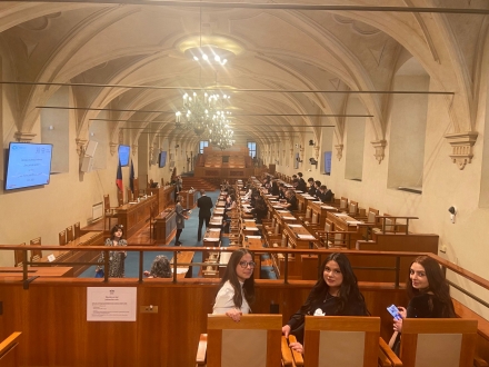 Senát Parlamentu České republiky.